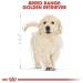 Royal Canin BHN Golden Retriever Puppy - Dry Puppy Food - 3 kg - Buy Online on GoSupps.com