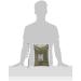 Old India Sage Dried 1 Kg - Premium Quality Sage Leaves - Pack of 1 - Buy Online on GoSupps.com