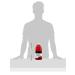 Happy Belly Cranberry Juice 64oz - Amazon Brand from Concentrate - Buy Online on GoSupps.com