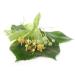 Large Herbal Package for Vaporizers & Aromatherapy - 235g of Scented Herbs & Incense - Buy Online on GoSupps.com