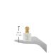 Jessica Simpson Fancy Love for Women. Eau De Parfum Spray 3.4-Ounce (Pack of 2) Fancy Jessica Simpson 3.4 Fl Oz (Pack of 2) - Buy Online on GoSupps.com