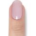 Original Miss Sophie UV Gel Nail Foils - Glazed Elegance Lavender Stripes for Finger & Toenails - Buy Online on GoSupps.com
