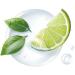 Neutro Roberts Fresco Lot de 12 d odorants en stick au th vert et citron vert 0 % sels d'aluminium 40 ml + porte-cl s Beni Culinari - Buy Online on GoSupps.com