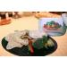 A Spice Above Variety Pack - Set of 5 Gourmet Dips for Delicious Snacking - Buy Online on GoSupps.com