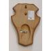 5-Piece REH Buck Sign Trophy Set with Pine Compartment | Dark Oak | 21x13 cm - Perfect for International Shipping - Buy Online on GoSupps.com