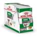 Royal Canin Mini Ageing 12+ Wet Dog Food 85g (24 Pack)'Royal Canin Mini Ageing 12+ Wet Dog Food 85g (24 Pack) - Buy Online on GoSupps.com