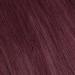 Clip In Hair Extensions Set - 7 Parts 60cm 100% Remy Real Hair Color 05 Chestnut - GlamX Intensions - Buy Online on GoSupps.com