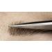 Eyebrow Styling Kit - Straight Blonde Eyebrow Extensions & Reconstruction | 3 Lengths for Perfect Brows - Buy Online on GoSupps.com