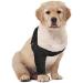 Suitical Recovery Sleeve for Dogs - XS Black | 1 Pack | Ideal Post-Surgery Solution - Buy Online on GoSupps.com