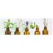 Buy Vuyst Purifying Extract_AB - Best International Shipping for Skincare Products - Buy Online on GoSupps.com