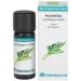  EQUISALUD Equisalud Essence 10 ml - Buy Online on GoSupps.com