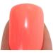 LECHAT Sunkissed Nail Polish - DW152 | Dare to Wear Collection - Buy Online on GoSupps.com