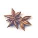 Buy Organic Whole Star Anise 100g | Dragonspice Naturwaren - Premium Quality International Shipping - Buy Online on GoSupps.com