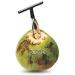 Stord Coconut Opener - Open Fresh, Young White Coconuts in Seconds - Buy Online on GoSupps.com