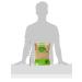 Khazana Organic Toor Dal Split Pigeon Peas - 112oz/7lbs | Buy Online - Buy Online on GoSupps.com