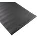 Echelon Fitness Protective Indoor Mat - 27W x 47L | Premium Quality Mat for Home Gym Workouts - Buy Online on GoSupps.com