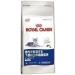 Royal Canin Indoor 7+ - 3.5 Kg - Buy Online on GoSupps.com