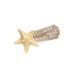 AJTUTUS Acrylic Starfish Shape Hairpins Hot Girls Duckbill Clear Hair Clip Spring Ponytail Side Hair Clip for Woman