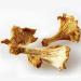Dried Chanterelle Mushrooms - Premium Grade (2oz) - Pack of 1 - Buy Online on GoSupps.com