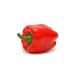 Knorr Garlic Bay Leaf & Pepper Bouillon Cubes 8-Pack 72g - Stock Cubes with Paprika Seasoning - Buy Online on GoSupps.com