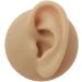 WEHOMY Silicone Left Ear Model for Teaching Instruction - Realistic 3D Display Tool Skin Color - Buy Online on GoSupps.com