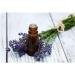 Lavender Aromatherapy Eye Pillow Sleep and Relaxation Aid Aromatherapy Pillow - Buy Online on GoSupps.com