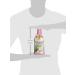 Lily of The Desert Aloe Herbal Stomach Formula Fresh Mint 32oz - Soothing Relief for Digestive Health - Buy Online on GoSupps.com