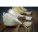 Organic Fresh Garlic Elephant Seeds - Grow Your Own Garlic Harvest 2020 - Buy Online on GoSupps.com