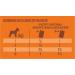 Nature's Variety Original No Grain - Mini Adult Dog P t with Turkey - Box of 8 x 150 g - Buy Online on GoSupps.com