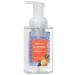 2-Pack Trader Joe's Clementine Foaming Hand Soap 8 Fl Oz Red  - Buy Online on GoSupps.com