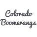 Glow in The Dark Bumblebee Boomerang - Easy Returning Boomerangs | Buy Online - Buy Online on GoSupps.com
