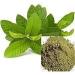 Organics Guava Leaves Koiya ilai Powder 200 GM - Buy Online on GoSupps.com