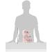 Warmies French Lavender Scented Plush Unicorn - Microwavable and Cozy - Buy Online on GoSupps.com