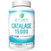 Catalase 15,000 Antioxidant Enzyme - 60 Day Supply | Pure and Potent - Buy Online on GoSupps.com