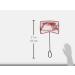 PENN-PLAX Infra-Red Quick-Net Aquarium Fish Net - Red, Durable, Strong & Safe - 10 - Buy Online on GoSupps.com