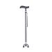 ATHUAHLR Crutches Multifunctional Crutch for Elderly Adjustable Outdoor Handle Walking Handle Walking Stick Aluminum Alloy Telescopic Senior Mountaineer (Color : Silver Grey)