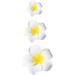 hgnxa Realistic Plumeria Flower Hairpin Elegant Wedding Hairclip Sweet Duckbill Clip Side Pin Nonslip Barrettes for Hair Shape - Buy Online on GoSupps.com