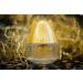 Double Nature Glam EDT