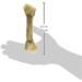 Classic Pet Products Rawhide Knot Bone 150-165 mm/ 6-6.5-inch - Buy Online on GoSupps.com