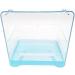 Large Clear Bird Bath for All Bird Cages and Small Birds - Canary Budgies Finch Cockatiel Lovebird Parakeet - Buy Online on GoSupps.com