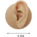 Silicone Ear Model - Simulation Human Ear Model - for Human Body Piercing Acupuncture and Moxibustion Ear Teaching Earrings Earrings Show Left - Buy Online on GoSupps.com
