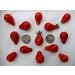 VISA STORE Red Pear - Organic Tomato Seeds - Cherry Pear Shaped - 40 Seeds