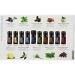 doTERRA Family Essential Kit Liquid | Natural Wellness Essentials for Every Home - Shop Now - Buy Online on GoSupps.com