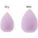 6PCS Mini Makeup Sponge Black Small Beauty Sponge Blender Set for Foundation Powder Concealer Highlight and Eye Shadow Makeup Brushes and Tools Black - Buy Online on GoSupps.com