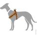 HUNTER Neoprene Vario Quick Harness 45-55 cm | Brown/Caramel | Reflective Nylon for Pets - Shop Internationally - Buy Online on GoSupps.com