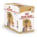 Adult Yorkshire Terrier Wet Dog Food 24 Packs 85g Each - Buy Online on GoSupps.com