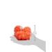 EcoTools Exfoliating EcoPouf Sponge - Gentle Scrub for Healthy Skin - Buy Online on GoSupps.com