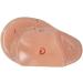 Carhar English Version Ear Acupuncture Earpins Auricular Application Ear Acupuncture Points - Buy Online on GoSupps.com