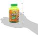 Flintstones Children's Multivitamin with Immune Support - 150 Gummies - Buy Online on GoSupps.com