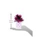Love Struck Eau De Parfum Spray for Women by Vera Wang 3.4 Ounce (Pack of 2) 1 Count (Pack of 2) - Buy Online on GoSupps.com
